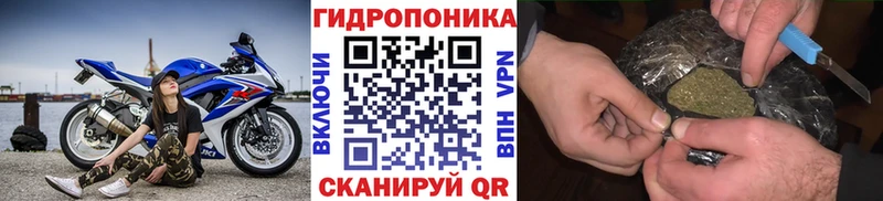 Где купить Оренбург Канабис  Кокаин  Кетамин  Мефедрон  ГАШ  СОЛЬ 