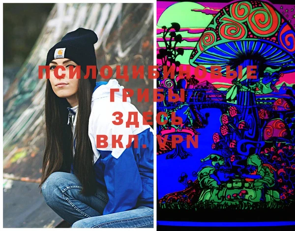 apvp Богданович