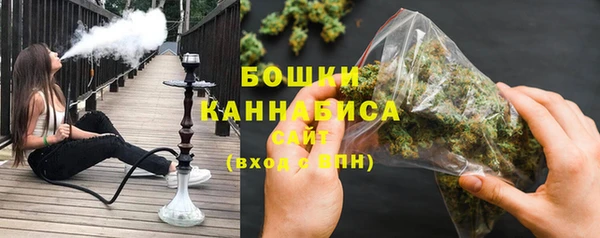 амф Богородицк
